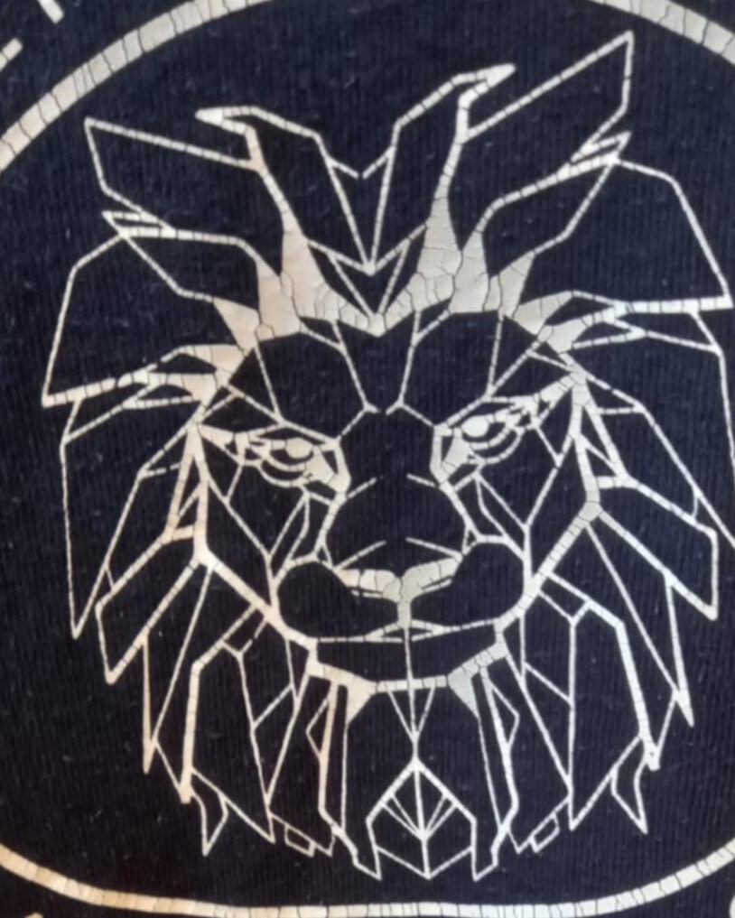 Le logo d'origine sur le dos du sweat, avant transformation. Une tête de lion entouré d'un cercle, en blanc, sur le pull bleu marine.